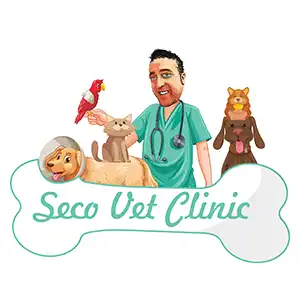 Veteriner-ve-Doktorlar-için-Online-Randevu-Sistemi-Hasta-Takip-Sistemi-Müşteri-Sadakat-Programı-Sağlık-Bakım-Web-Tasarım-Yazılım-Sitesi